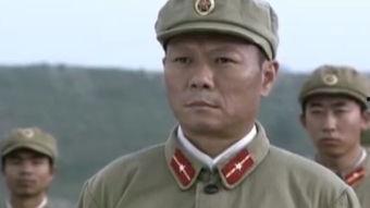 老兵在线观看全集,重温烽火岁月，共筑和平梦想  第2张