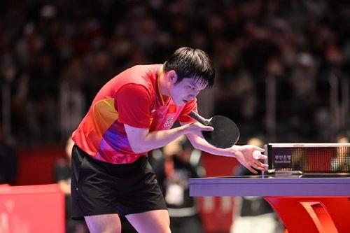 樊振东对手爆料视频完整版,完整版爆料视频深度解析