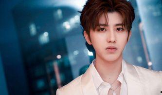 蔡徐坤事件视频爆料大全,揭秘网络舆论风暴背后的真相  第3张